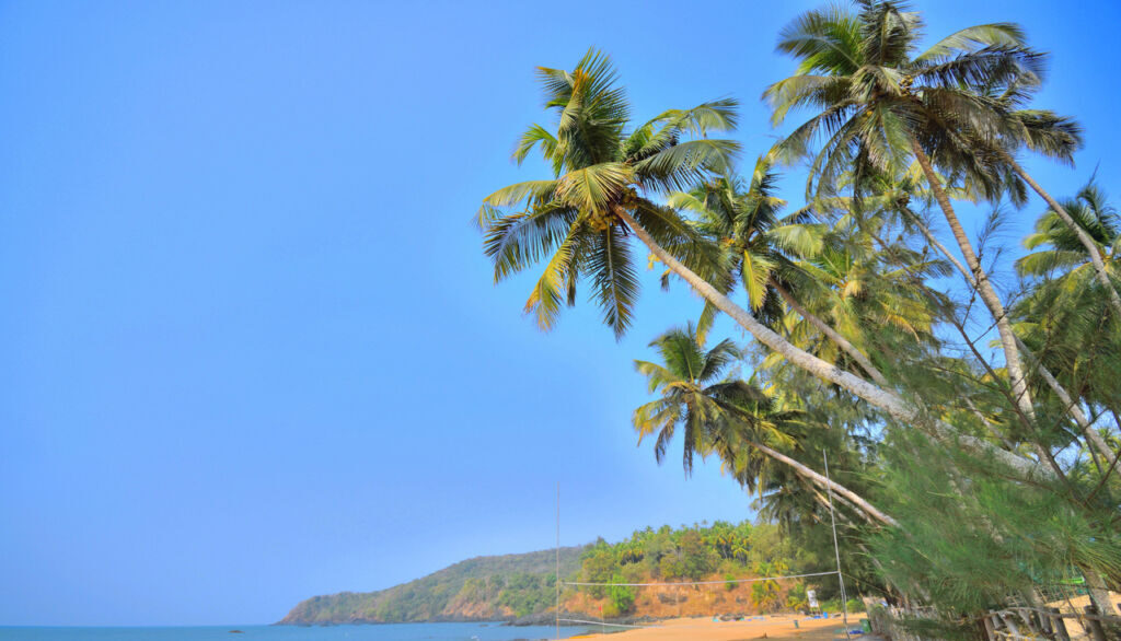 Scenic,View,Of,Polem,Beach. A coconut tree, peaceful and beautiful