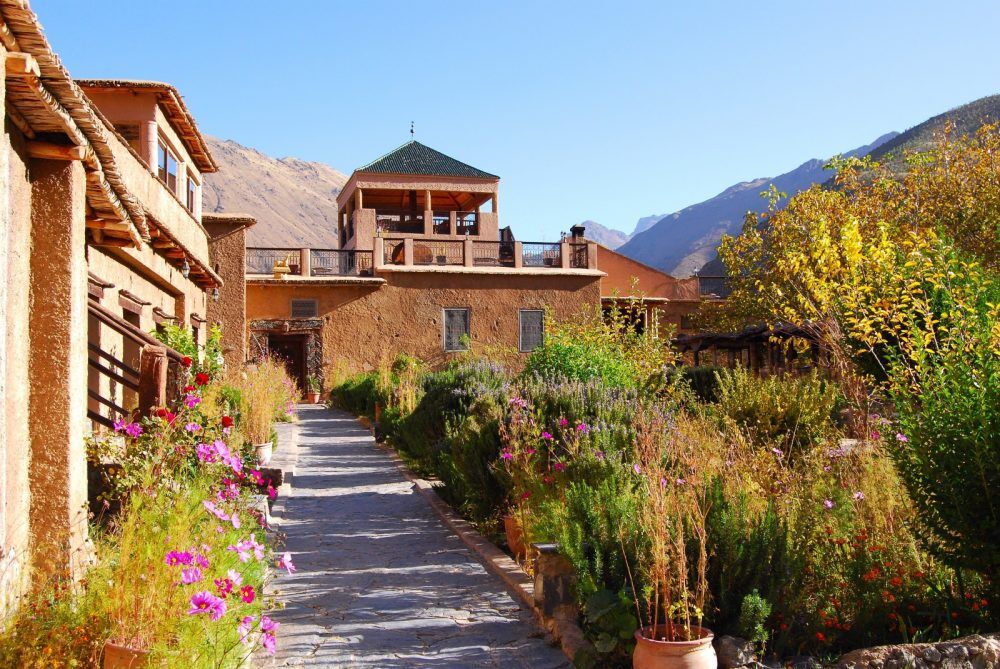 671281-1000×669 A nature inspired house