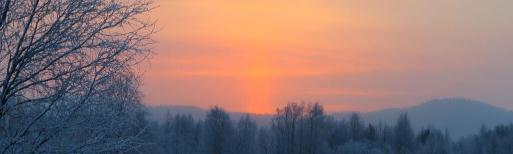 Untitled design (15)
