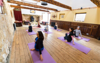 A group yoga session