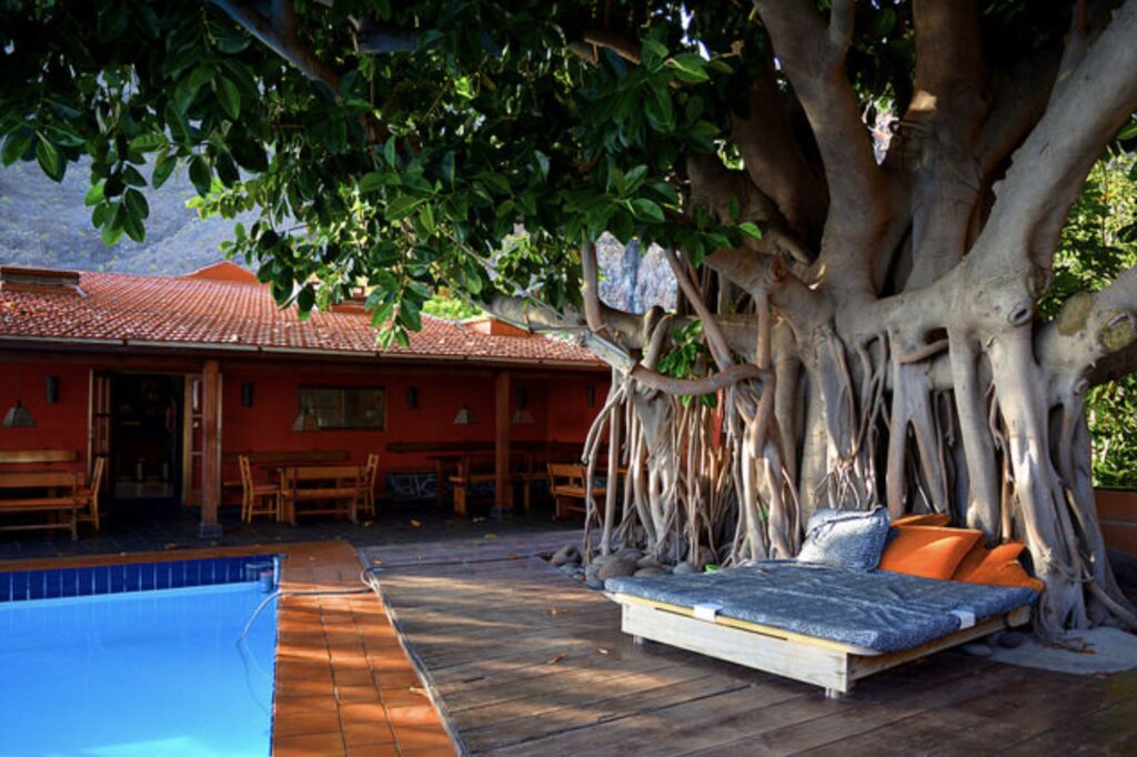 An elegant bed under a big tree