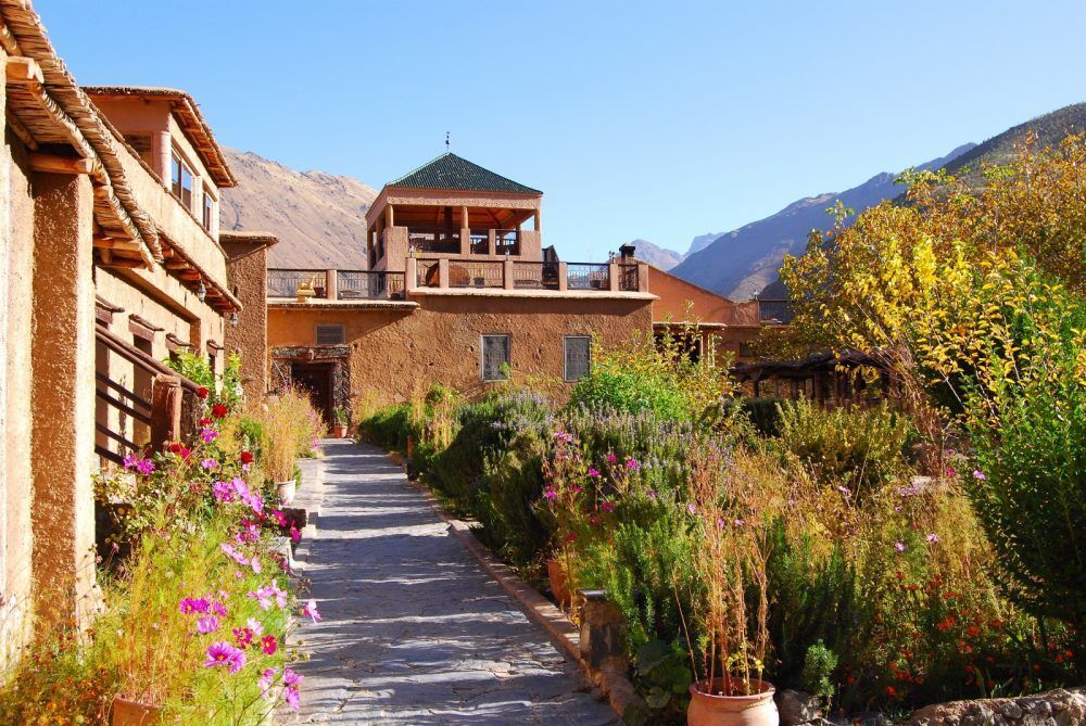 671281-1000×669-1 A nature inspired house